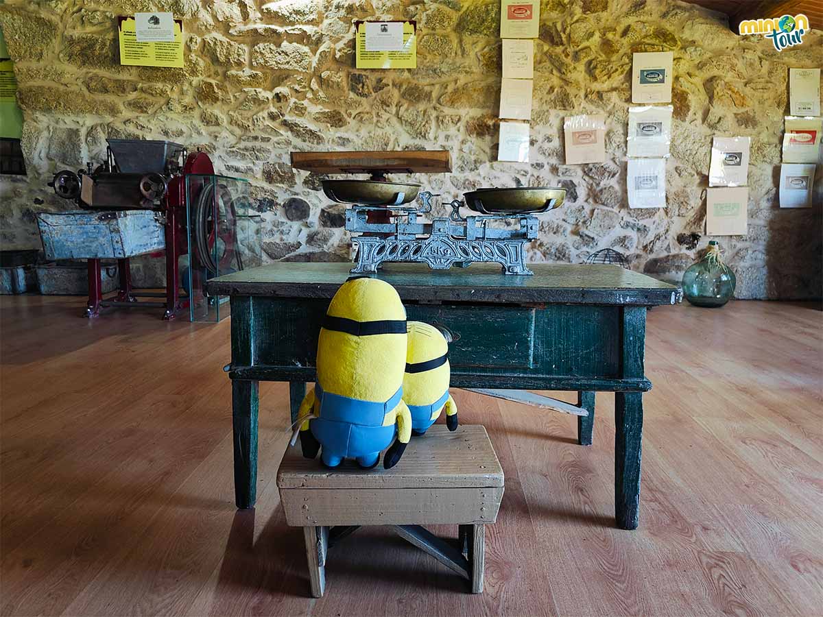 Visitamos el único museo del chocolate de Galicia