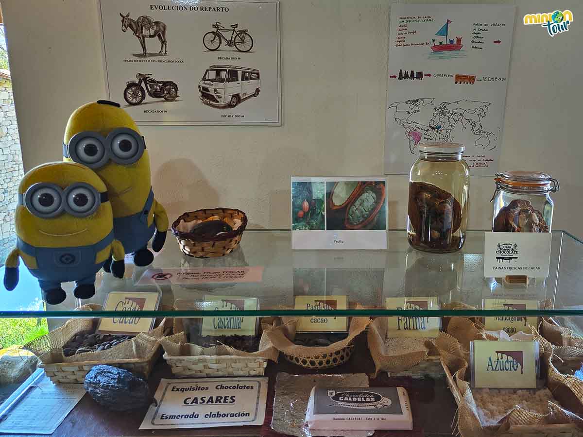 En el Museo del Chocolate de Galicia se aprende un montón