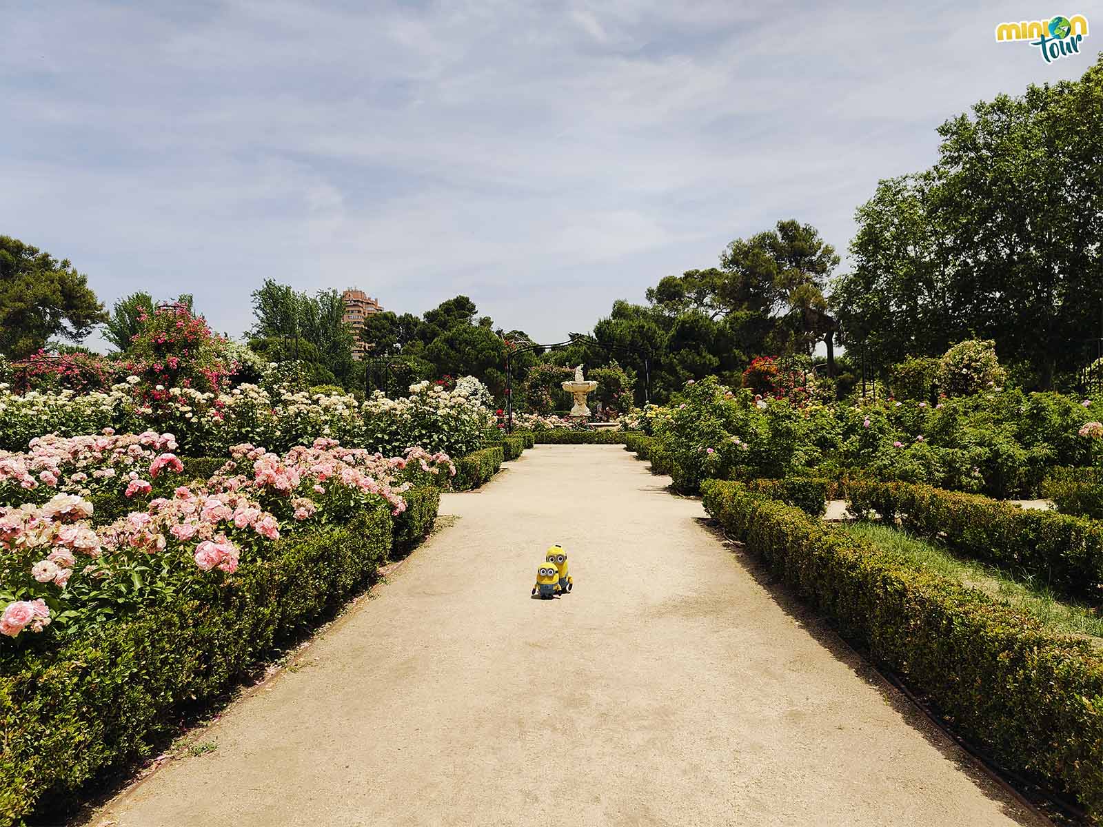 La Rosaleda de El Retiro, el lugar más colorido de Madrid