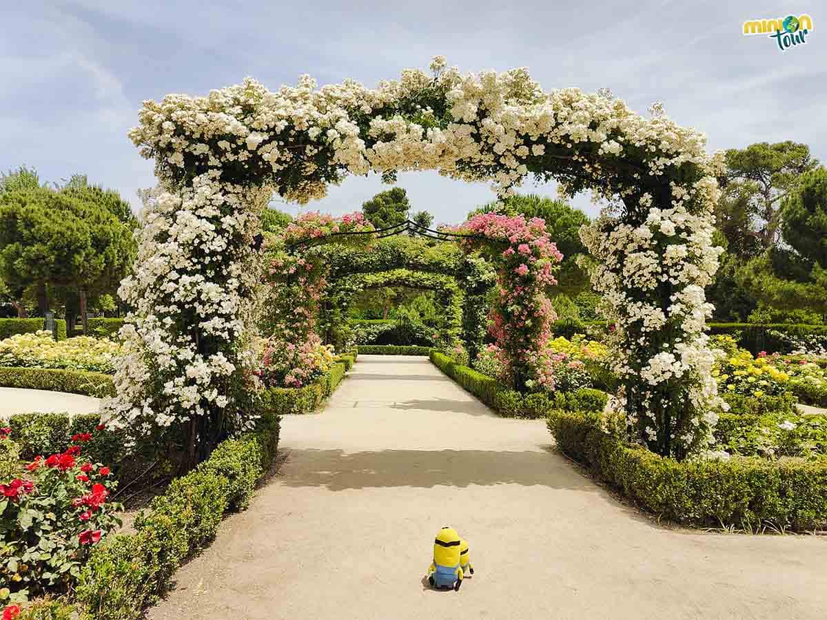 Estamos rodeados de flores