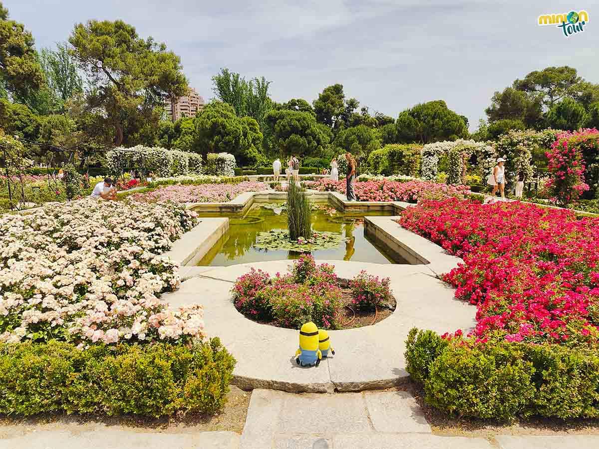 En la Rosaleda de El Retiro también hay un estanque