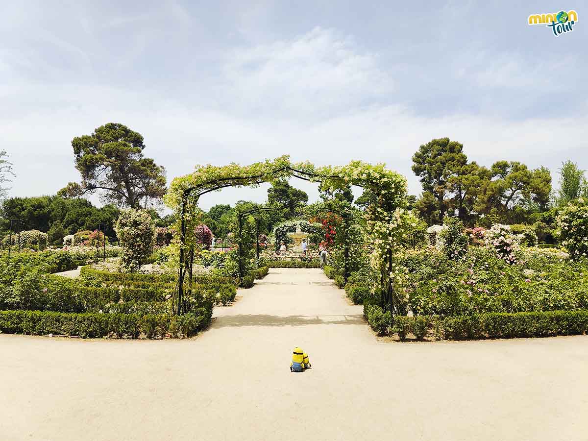 La Rosaleda de El Retiro nos ha dejado loquis