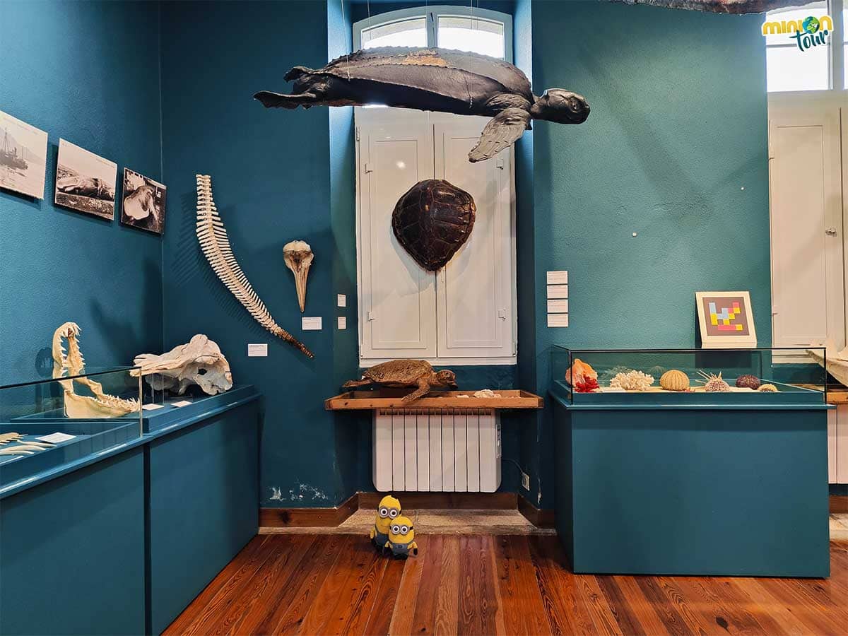 El Museo Provincial do Mar de San Cibrao es una caja de sorpresas
