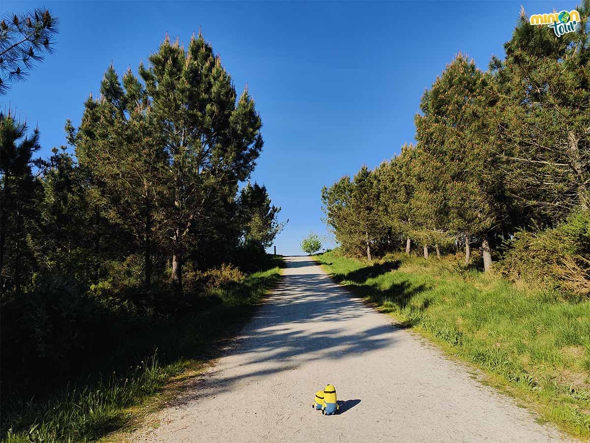 Para ver los miradores tienes que caminar un poquito