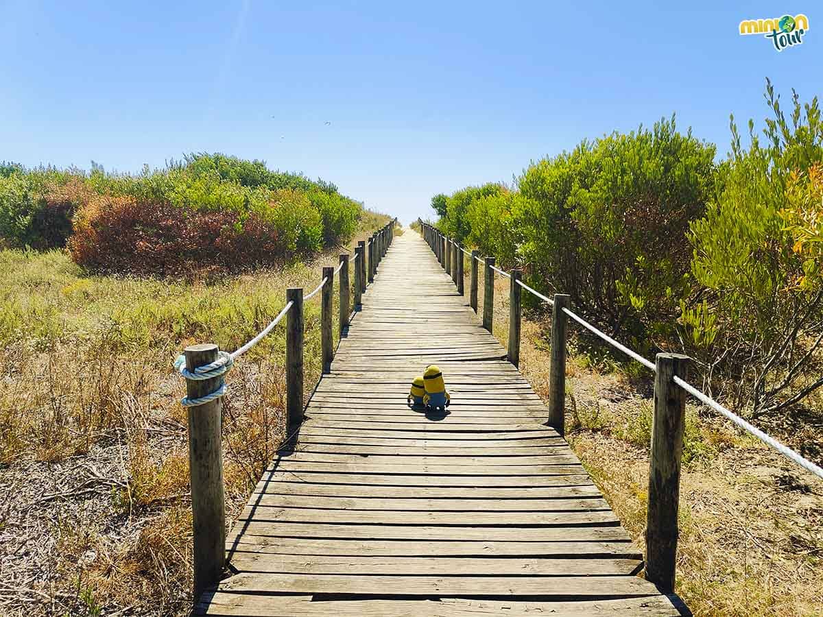 Estas pasarelas de madera te llevan a una playa chulísima