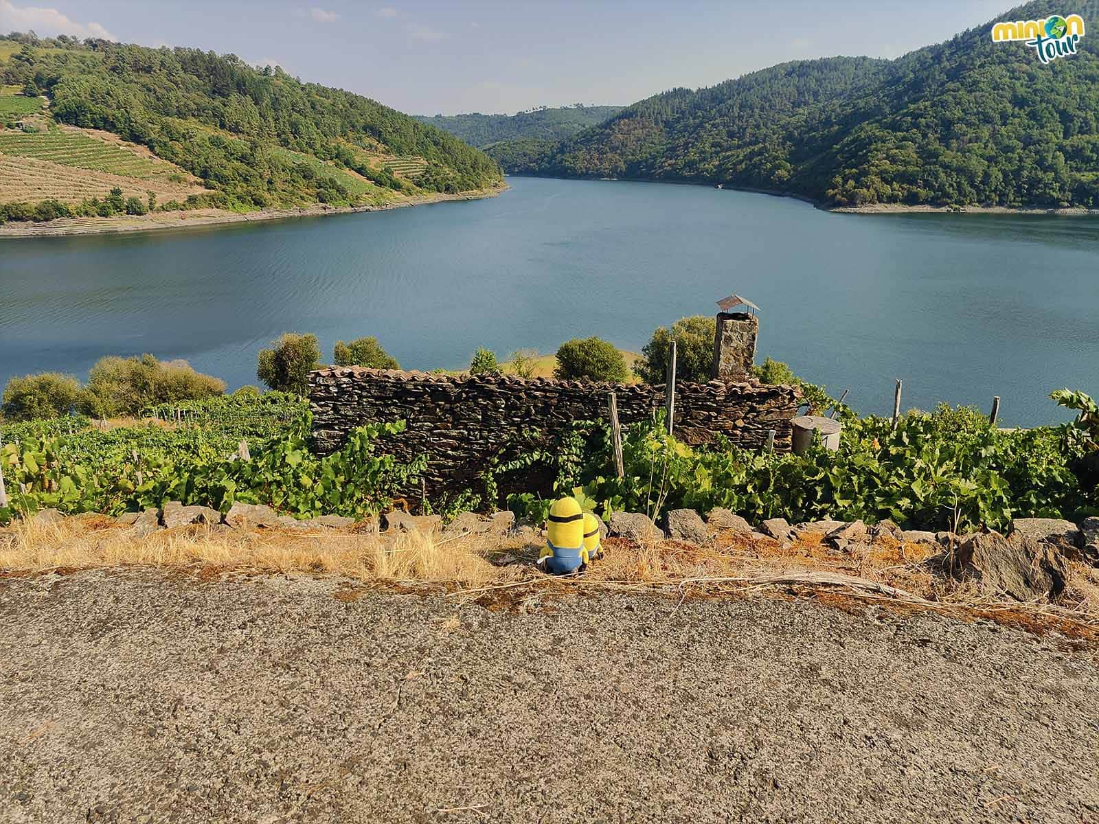 Ruta A Embelesadora: agua, paisajes y viñedos en Ribeira Sacra
