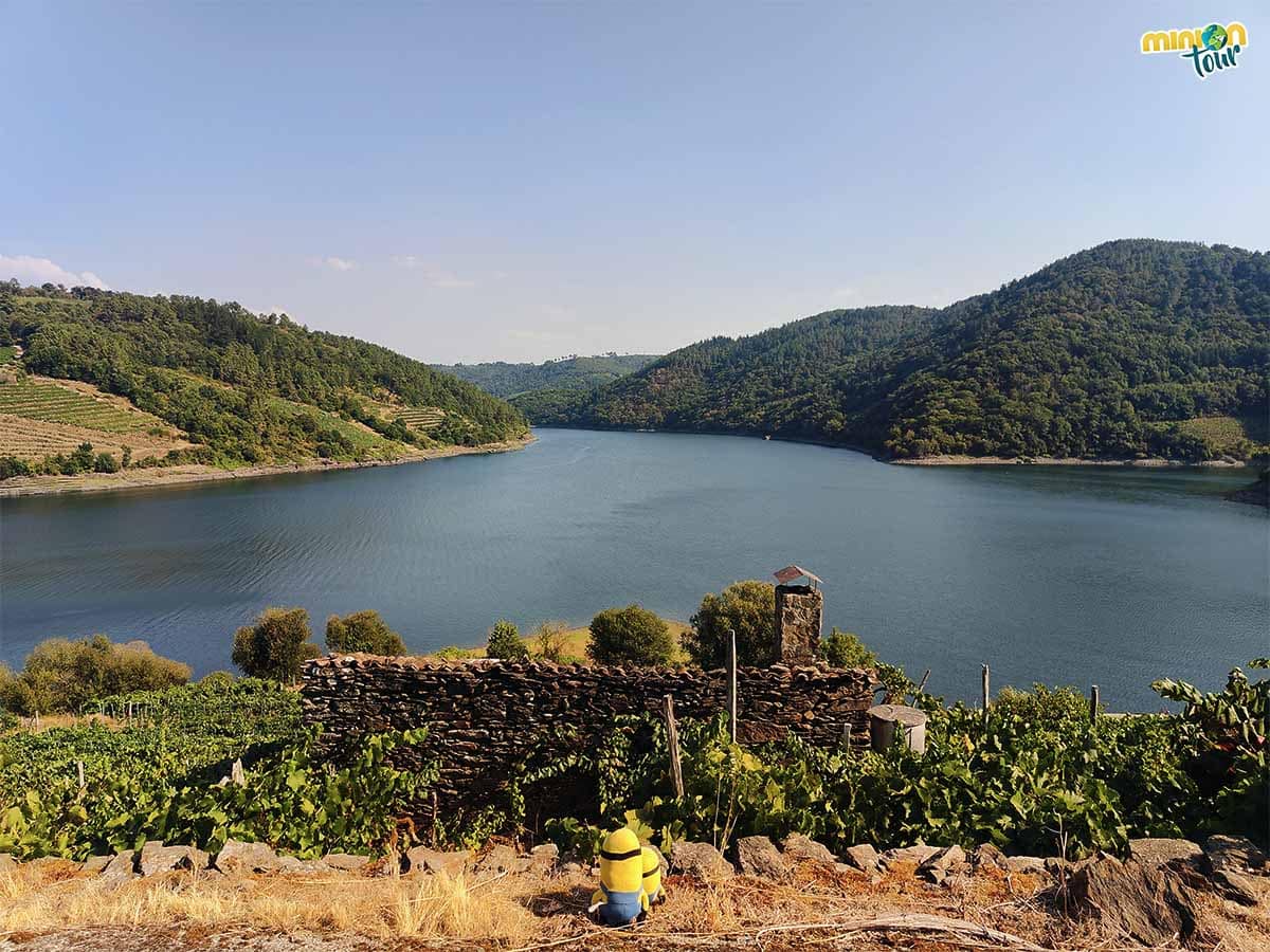 En la Ruta A Embelesadora también verás bodegas y viñedos