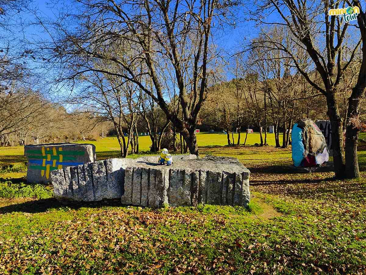 En la visita al Ecoespacio de O Rexo verás esta maravilla