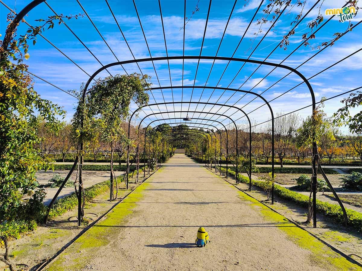Tienes que dar un paseo por los jardines del palacio