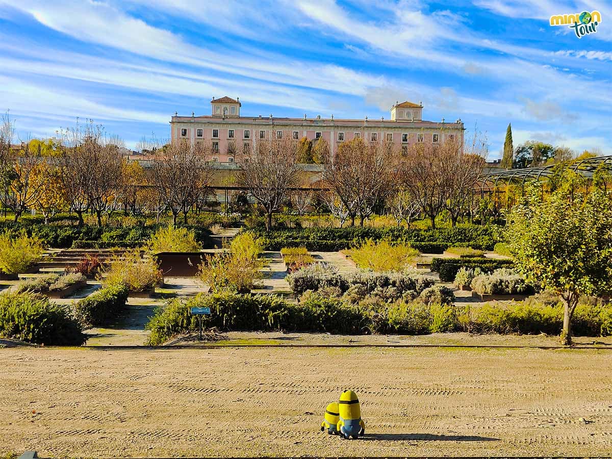 Esta es una de nuestras vistas favoritas del palacio