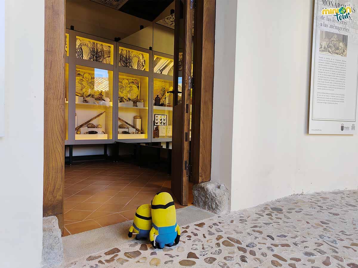 Vamos a ver la colección de animales del infante don Luis