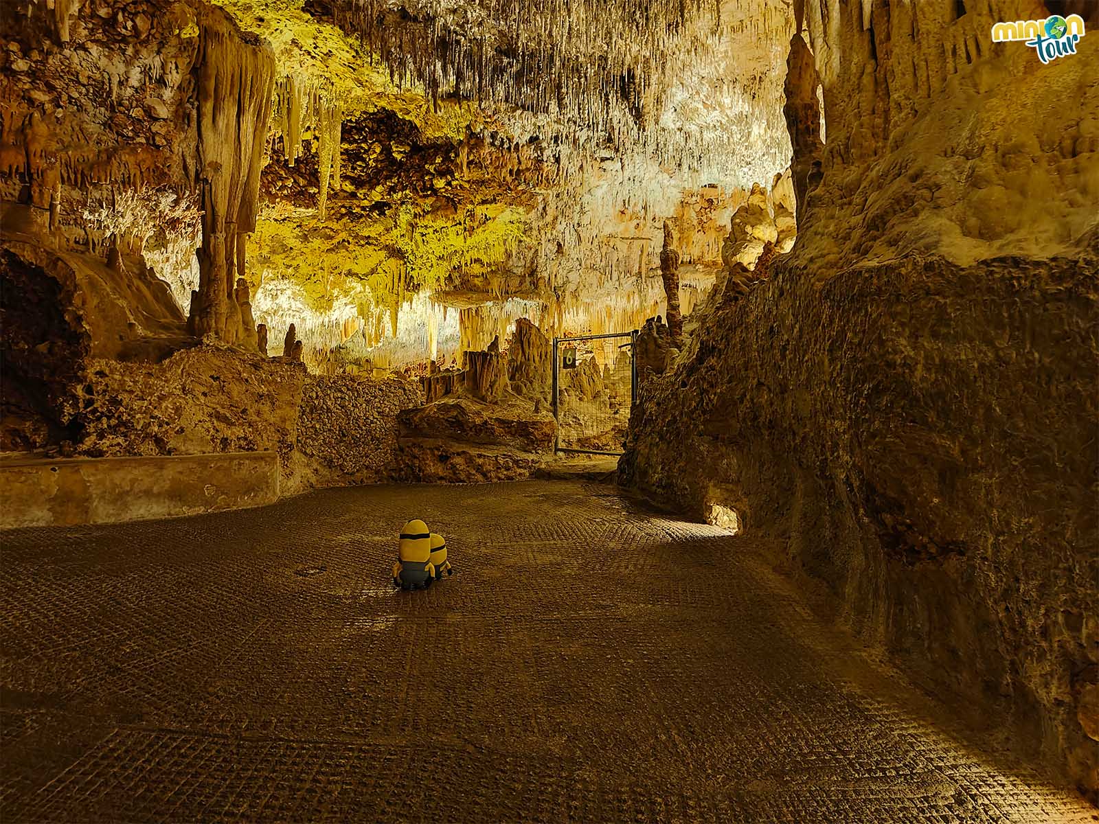 Visita a las Cuevas dels Hams, un mundo subterráneo en Mallorca