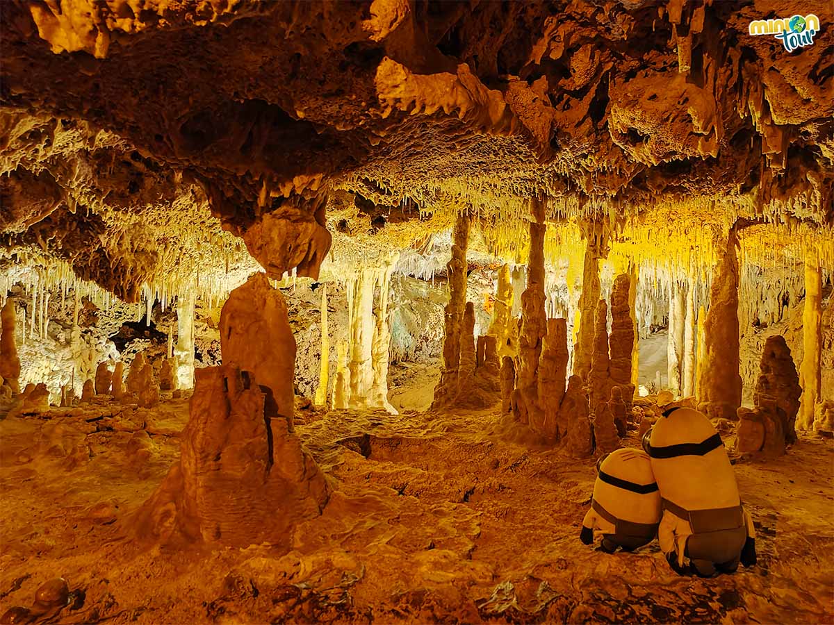 Hemos encontrado la Sala de las Lechuzas