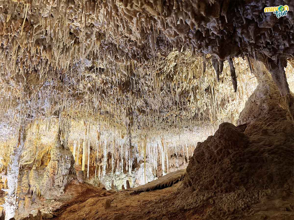 Aquí hay un montón de anzuelos