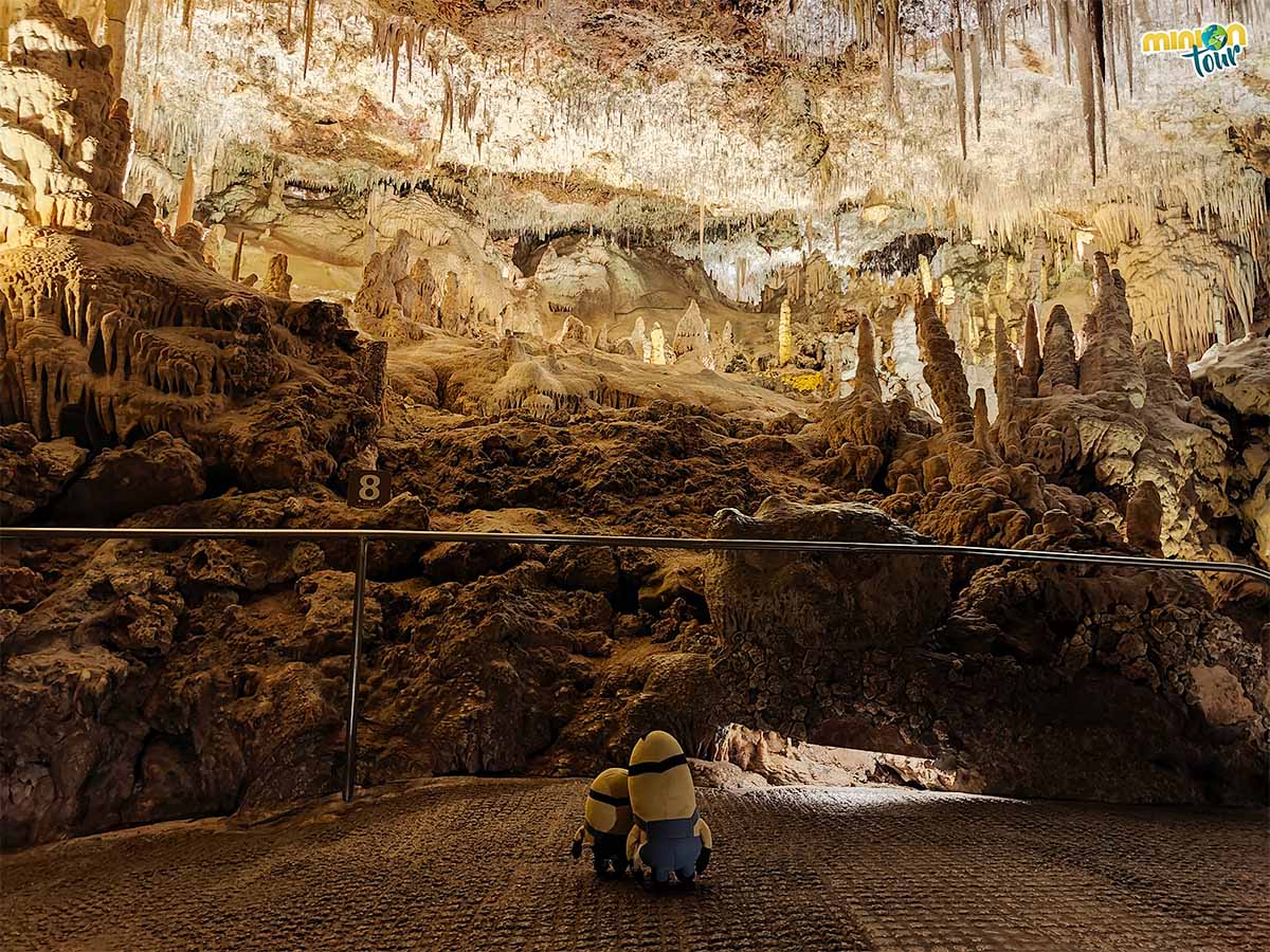 Llegamos al paraíso perdido