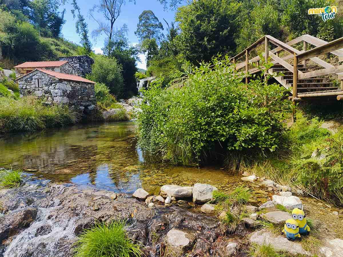 Ahora toca darse un baño