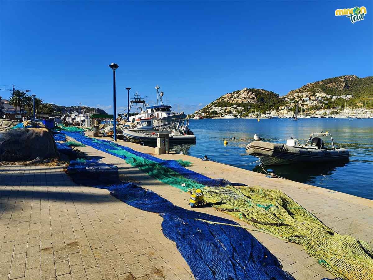 Hemos encontrado un puerto en la Serra de Tramuntana