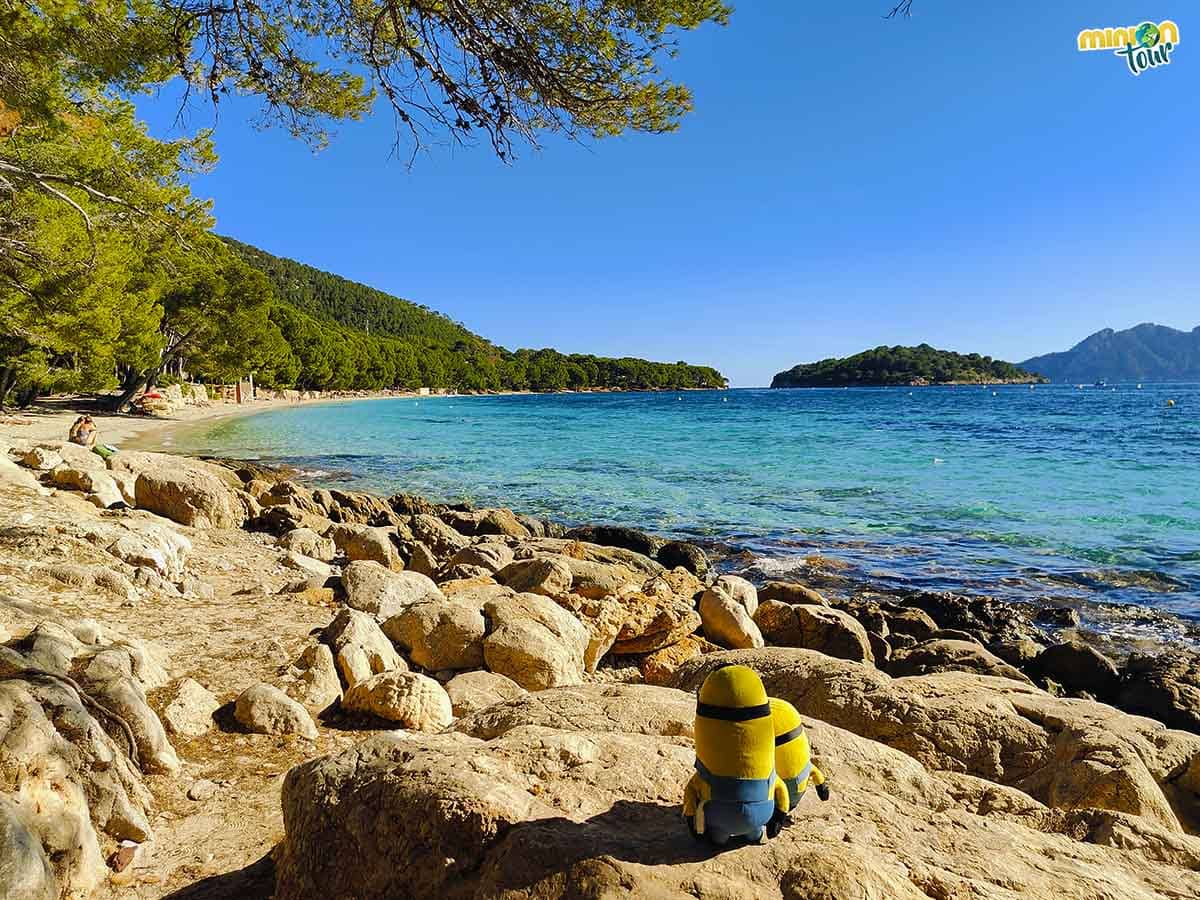 Estamos en otra de las playas más bonitas de Mallorca