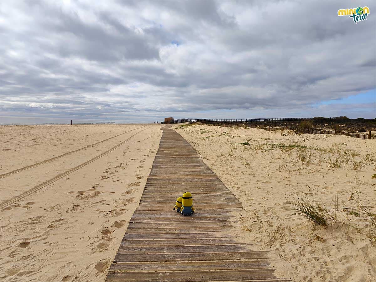 Esta playa es un imprescindible que ver en el Algarve