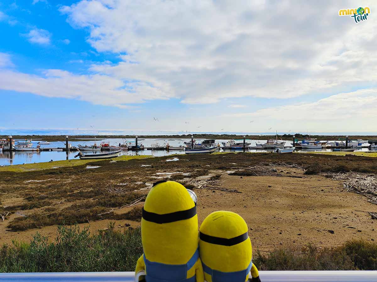 Hemos llegado al puerto de Cabanas