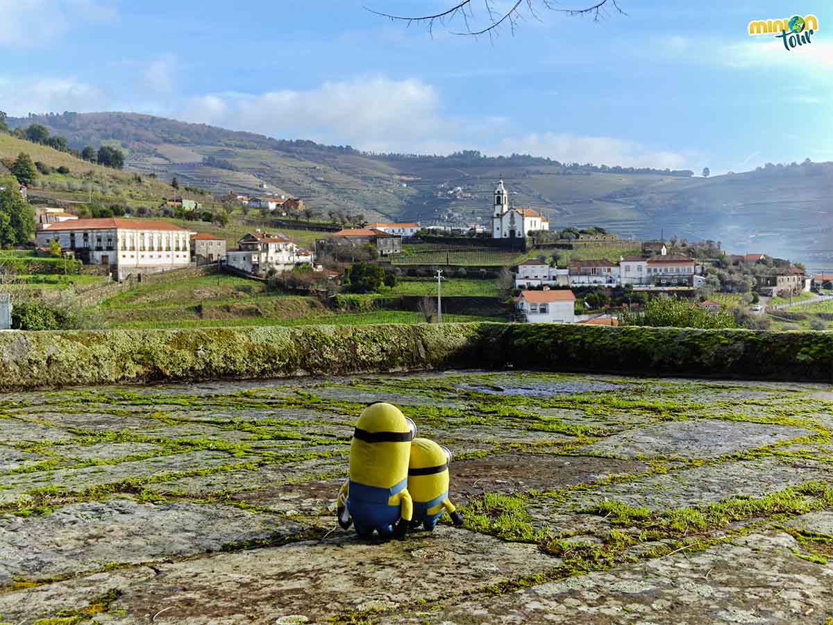 Te contamos qué ver en Mesão Frio