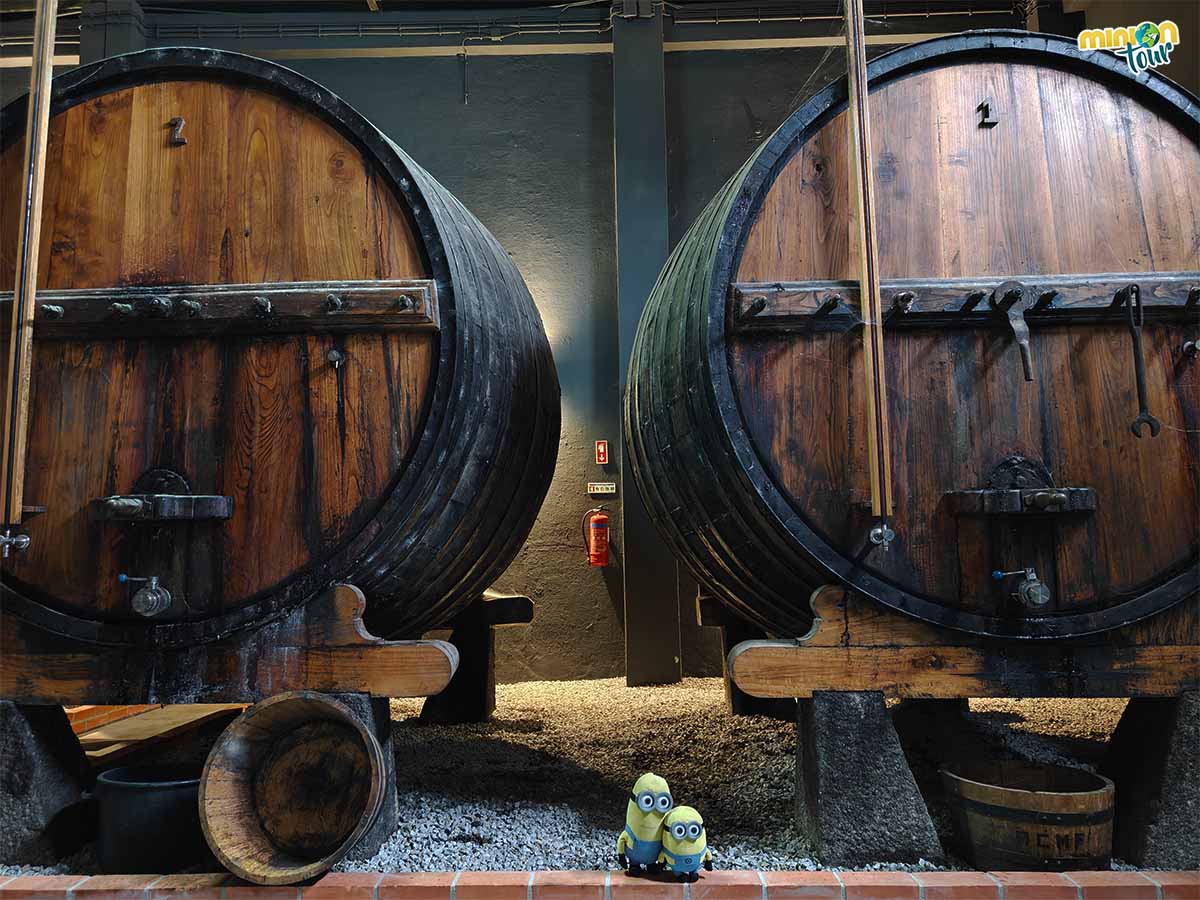 Estamos en la primera bodega del Douro