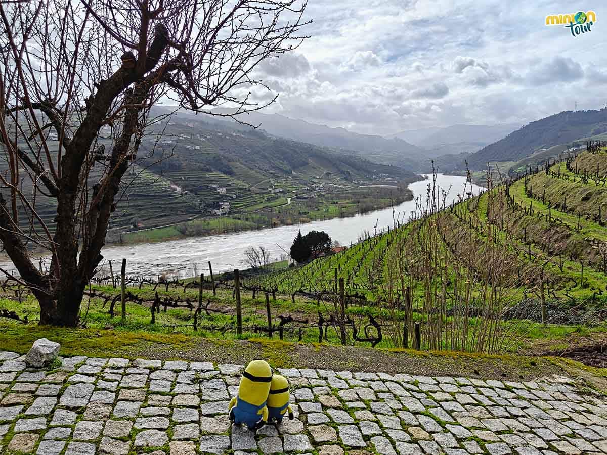 Estas vistas son una pasada