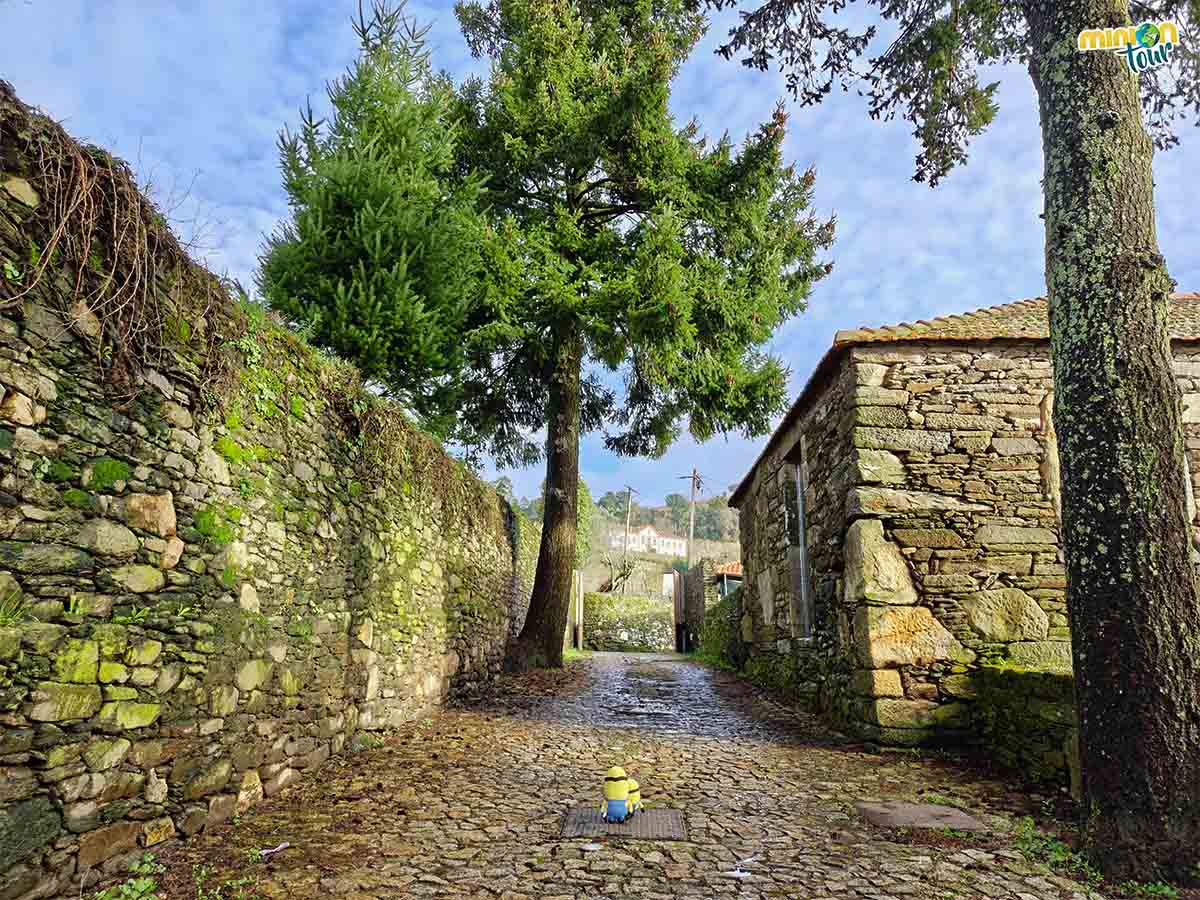 Estamos haciendo una ruta de senderismo en Mesão Frio