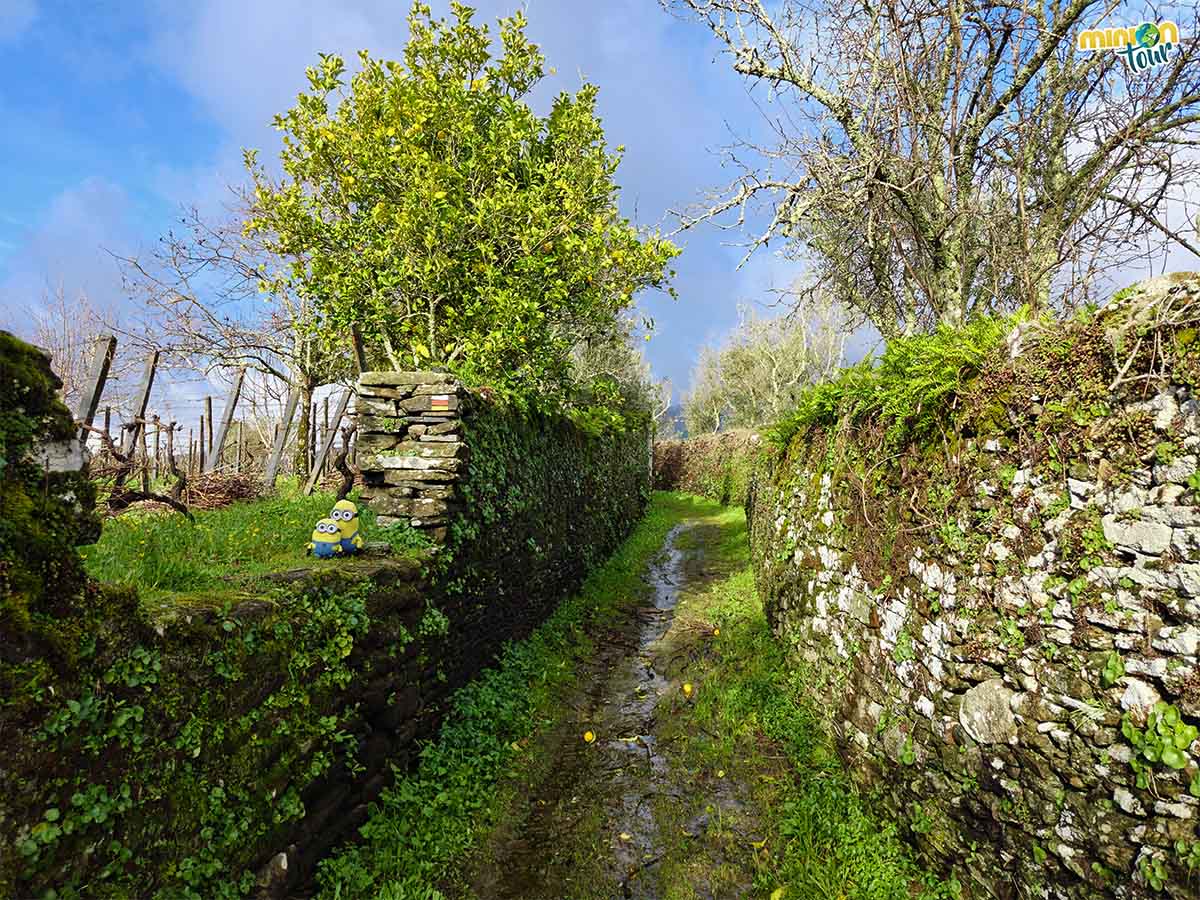 Estamos caminando entre muros de piedra