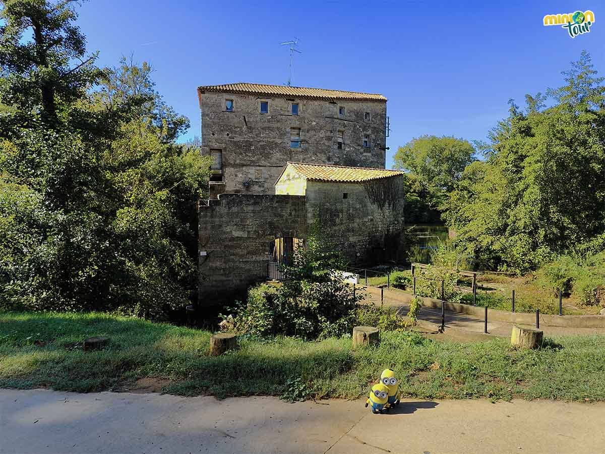 Nos hemos encontrado un molino