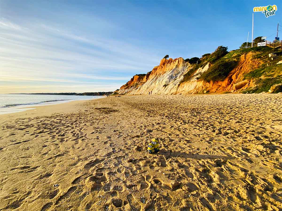 La playa da Falésia es una de las más bonitas del Algarve