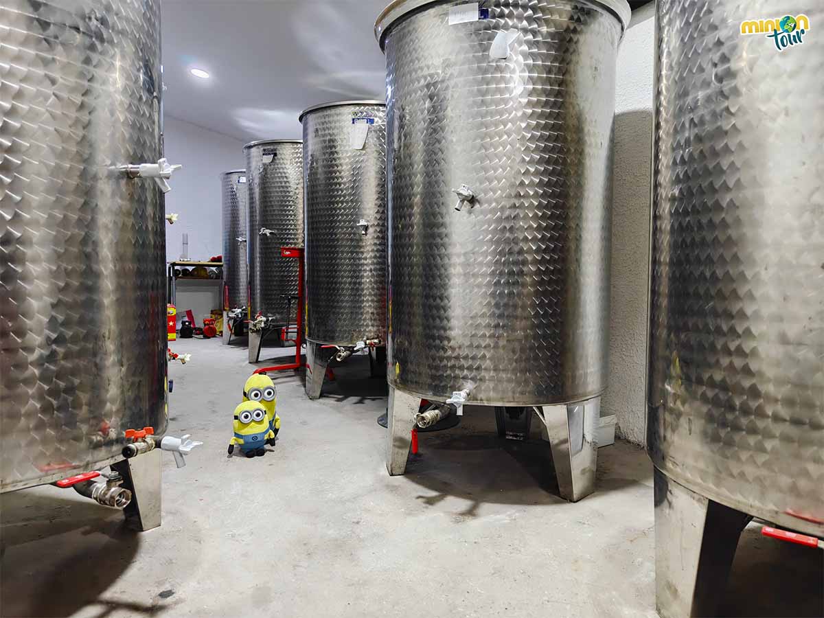 Nos hemos colado en la bodega