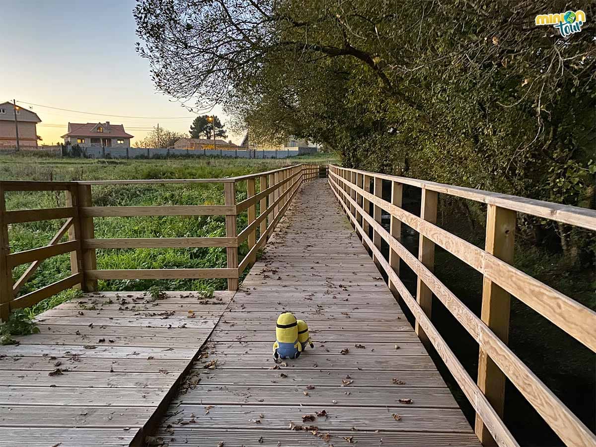 Esta es otra de las sendas por pasarelas más bonitas de Galicia