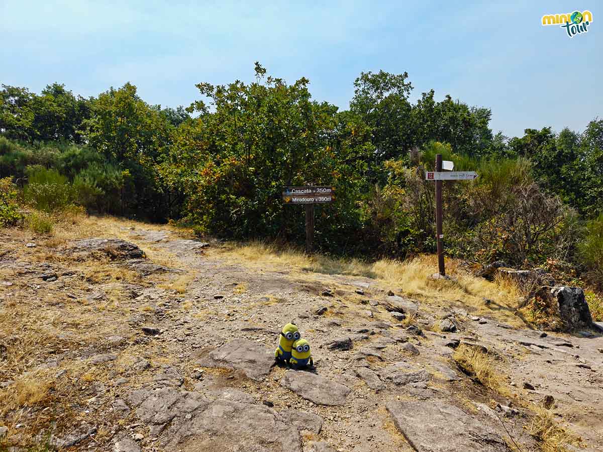 Estamos en la ruta correcta