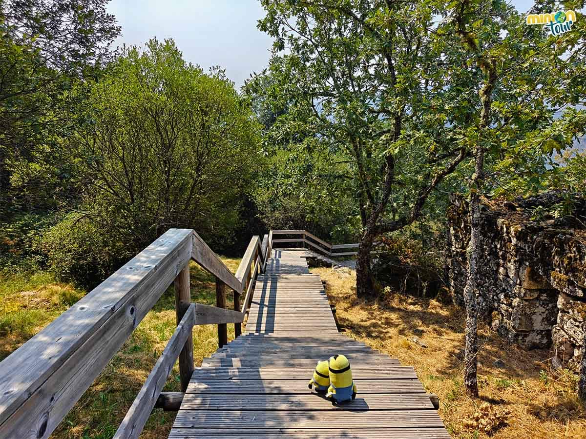 Por estas pasarelas de madera se llega a la cascada de Pitões das Júnias