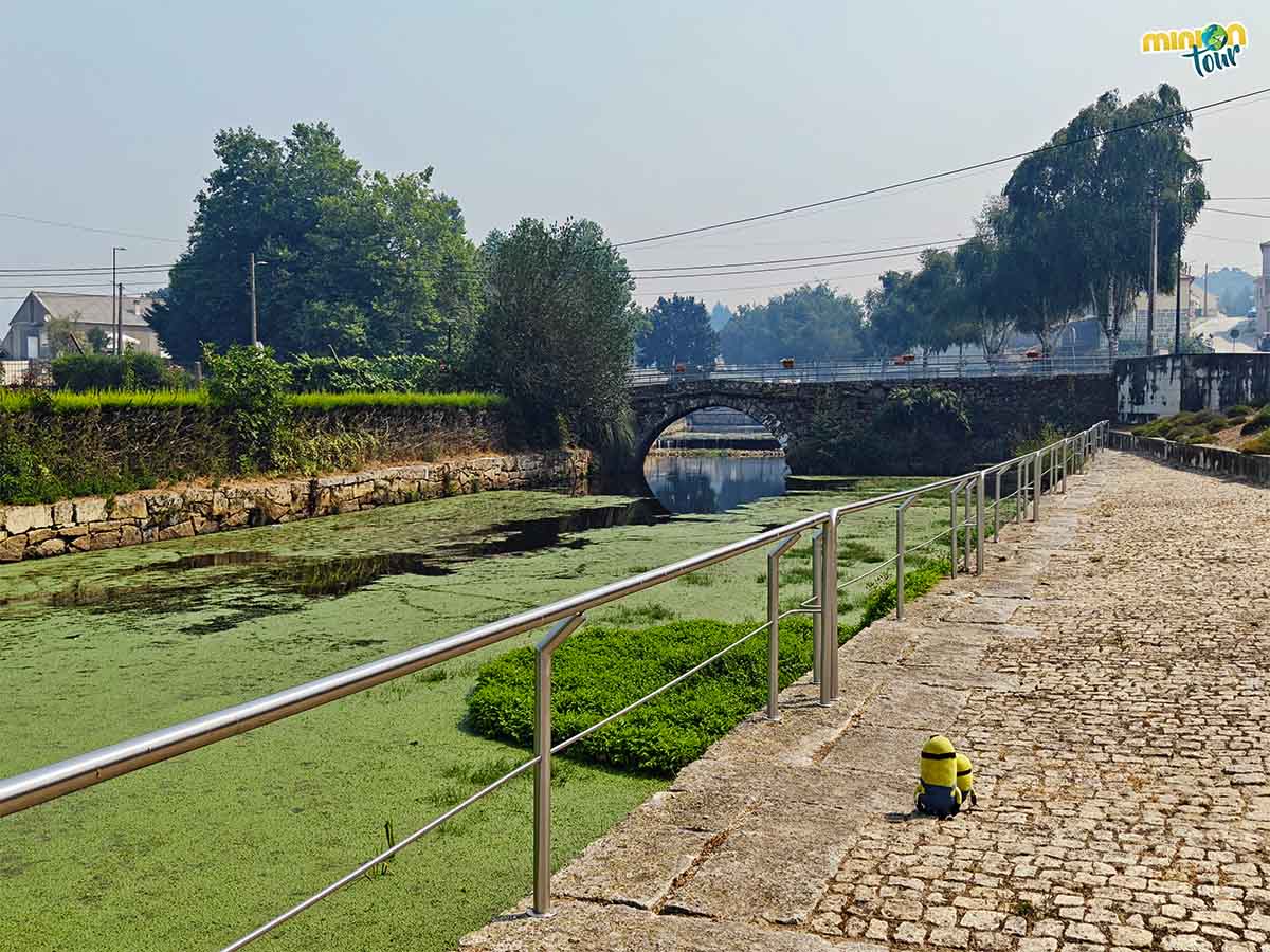 Este puente es otra de las cosas chulas que ver en Montalegre