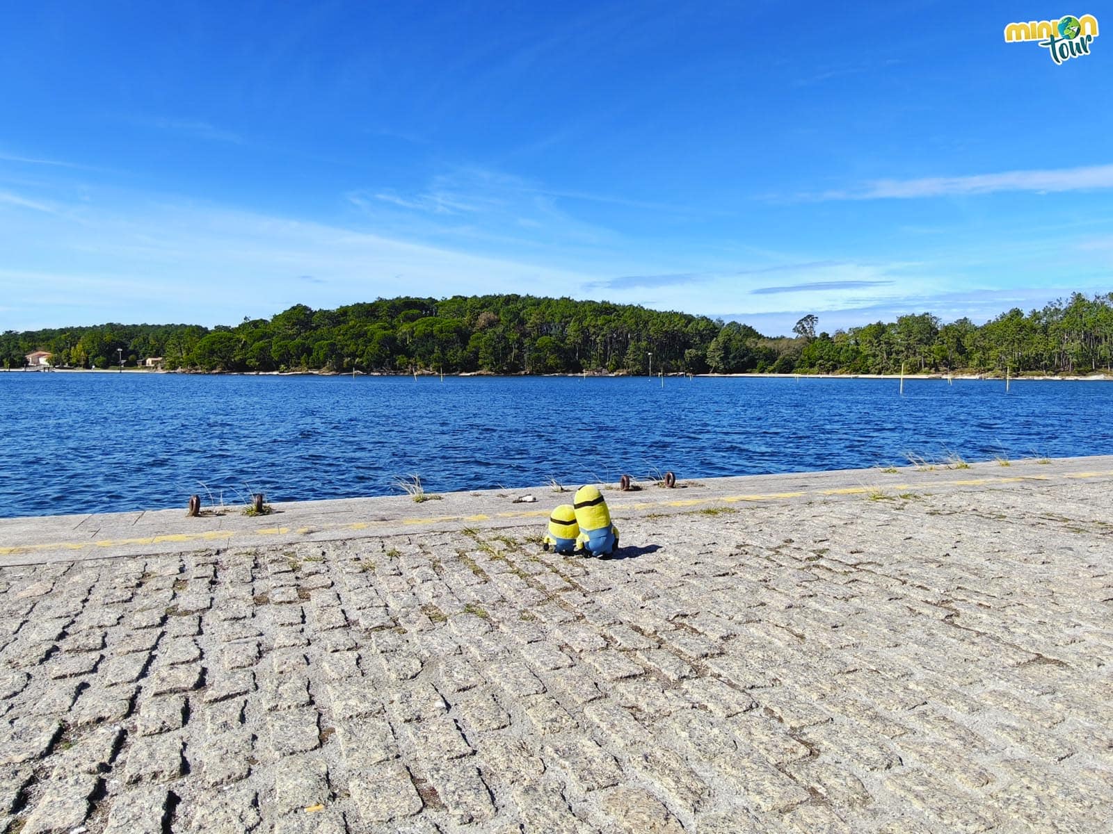 Visita a la Isla de Cortegada: laureles, calas y su aldea abandonada