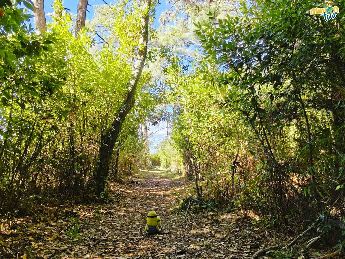 Los senderos de la Isla de Cortegada son una chulada