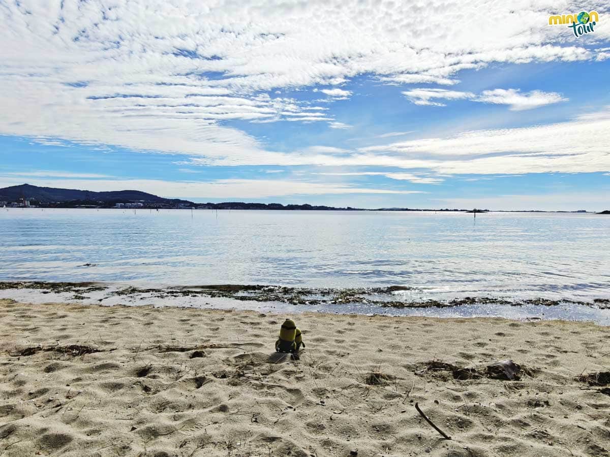 Vamos a darnos un bañito en la playa