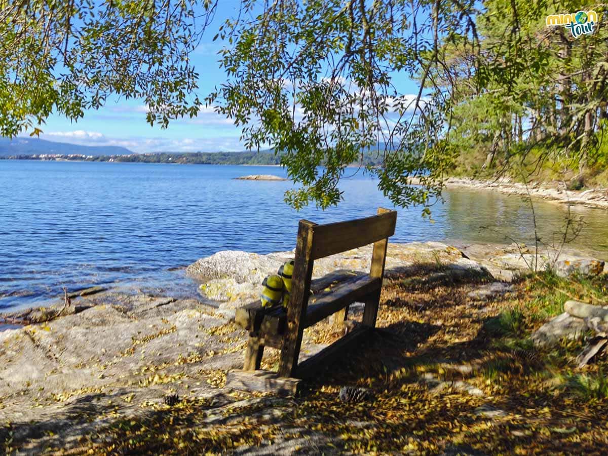 Hemos encontrado un banco con vistas en la Isla de Cortegada